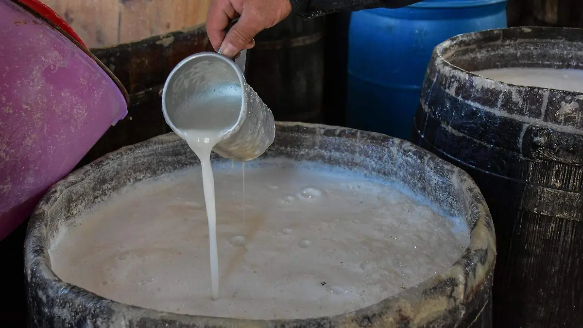 Pulque (2)